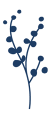 dettaglio